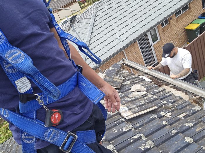 Roofer in safety harness inspecting a tile roof in Sydney